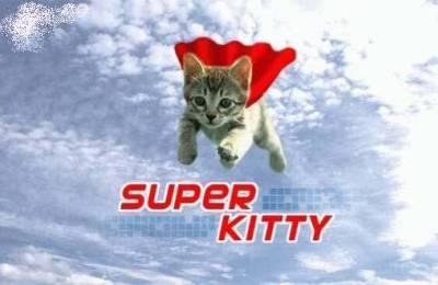 un chat super kitty
